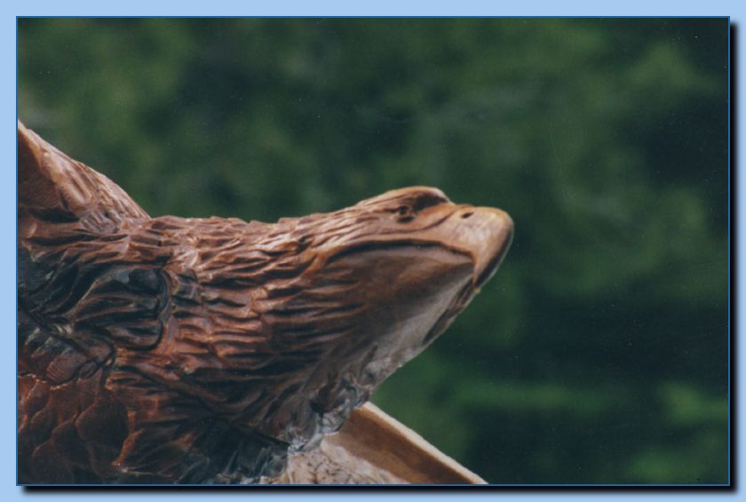 2-03 eagle with wings out, attached -archive-0007